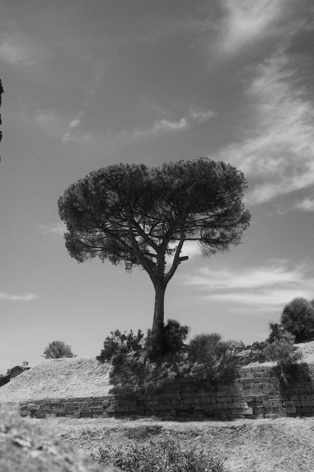 Photographie d'Axel Dadure